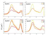 Size characteristics of chromophoric dissolved organic matter in the Chukchi Sea