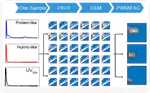 Variations in Colloidal DOM Composition with Molecular Weight within Individual Water Samples as Characterized by Flow Field-Flow Fractionation and EEM-PARAFAC Analysis